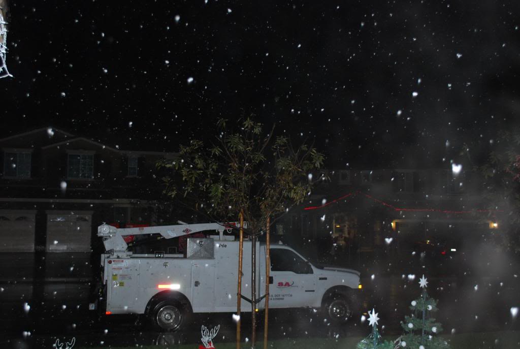 Name:  DSC_0363.jpg
Views: 40
Size:  60.3 KB