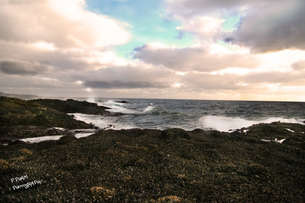 Name:  IMG_2834.jpg
Views: 34
Size:  131.2 KB