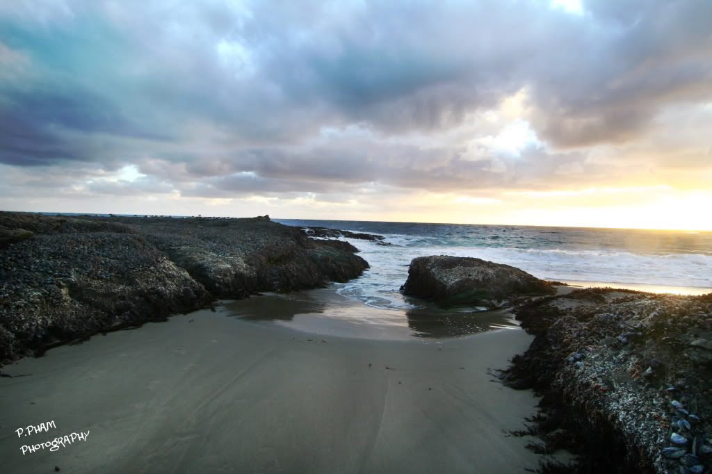 Name:  IMG_2862copy.jpg
Views: 27
Size:  90.9 KB