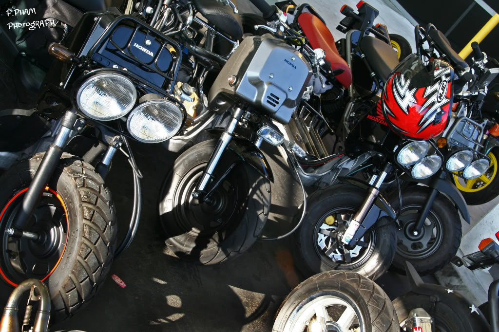 Name:  IMG_1662copy-1.jpg
Views: 28
Size:  186.9 KB