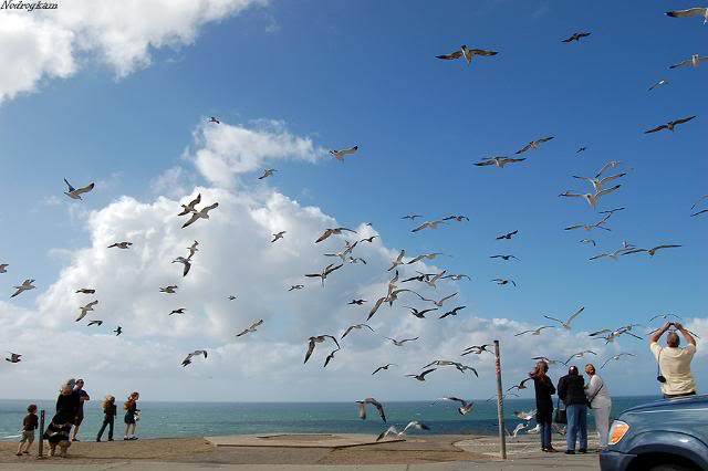 Name:  DSC_2683.jpg
Views: 45
Size:  33.6 KB