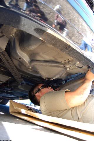 Name:  DSC_2705.jpg
Views: 34
Size:  28.8 KB