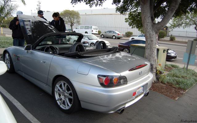 Name:  DSC_2718.jpg
Views: 33
Size:  48.8 KB