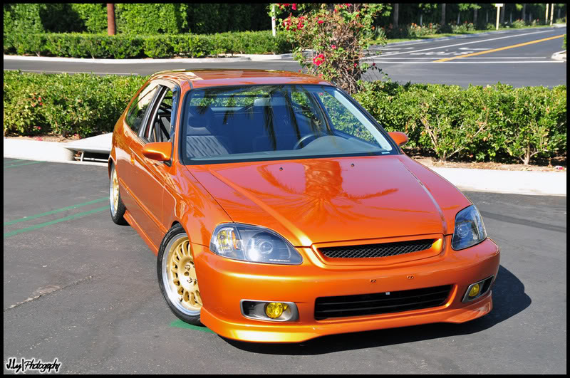 Name:  DSC_2916.jpg
Views: 44
Size:  139.2 KB