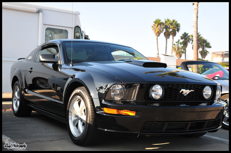 Name:  DSC_3137.jpg
Views: 53
Size:  83.4 KB