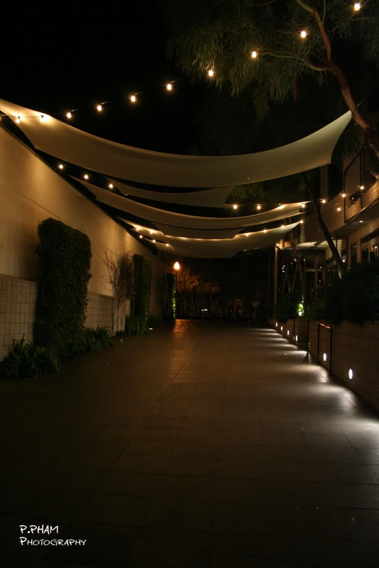 Name:  IMG_5399.jpg
Views: 30
Size:  53.6 KB