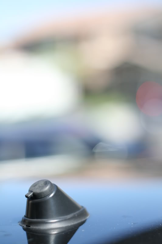 Name: july2008248.jpg
Views: 32
Size: 28.8 KB