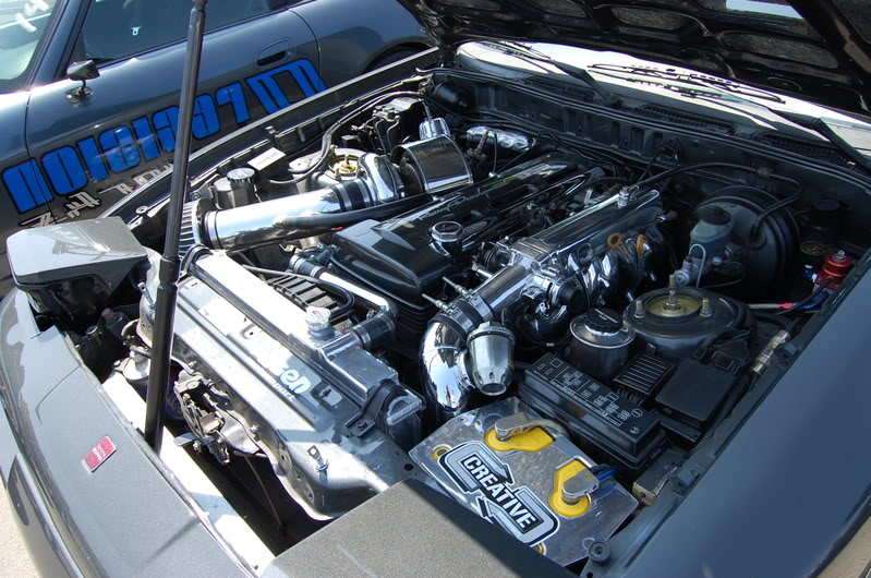 Name:  DSC_0369.jpg
Views: 41
Size:  152.5 KB