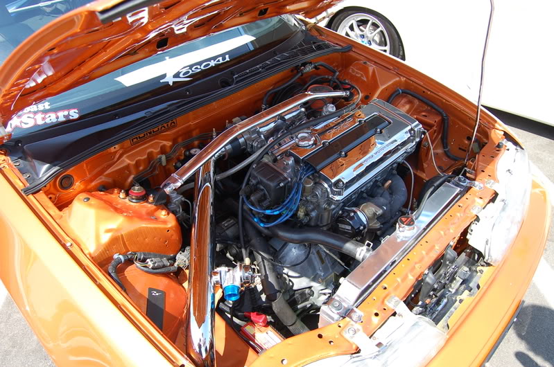 Name:  DSC_0376.jpg
Views: 40
Size:  159.7 KB