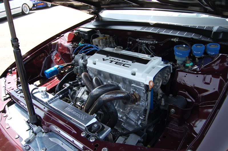 Name:  DSC_0385.jpg
Views: 30
Size:  141.9 KB