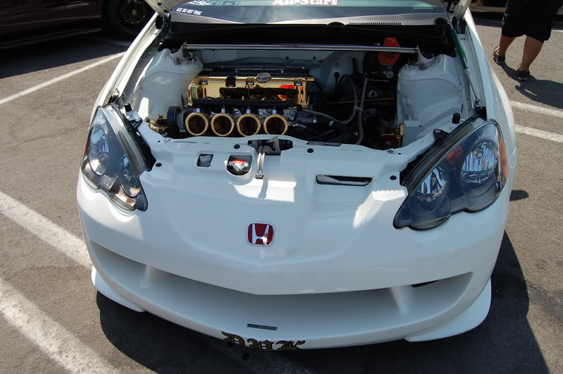 Name:  DSC_0386.jpg
Views: 31
Size:  113.4 KB