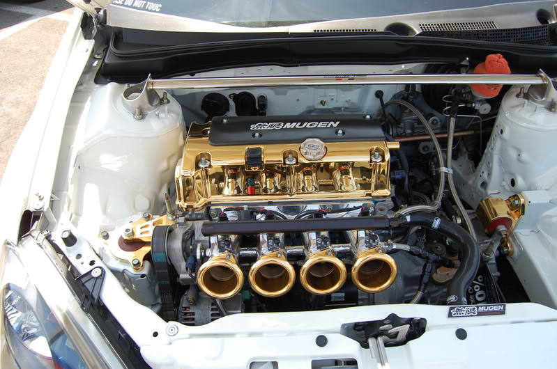 Name:  DSC_0387.jpg
Views: 43
Size:  131.0 KB