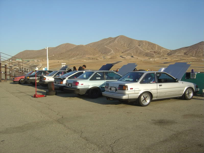 Name:  gripday8-29-09003.jpg
Views: 192
Size:  101.5 KB