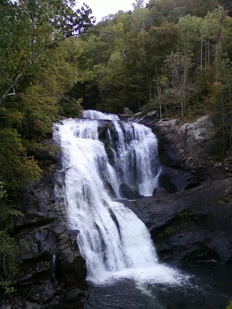 Name:  img1254782334469.jpg
Views: 59
Size:  169.7 KB