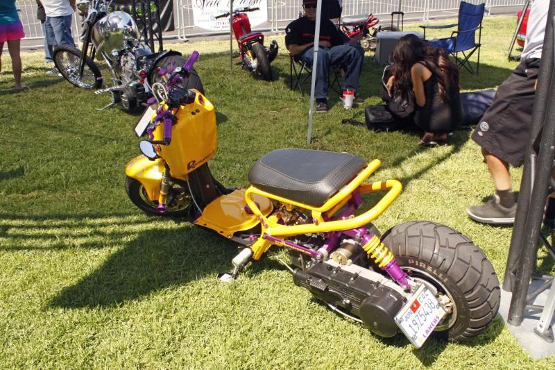 Name:  _MG_2742_edited-1.jpg
Views: 66
Size:  124.3 KB