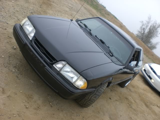 Name:  canyonmustang.jpg
Views: 79
Size:  74.5 KB