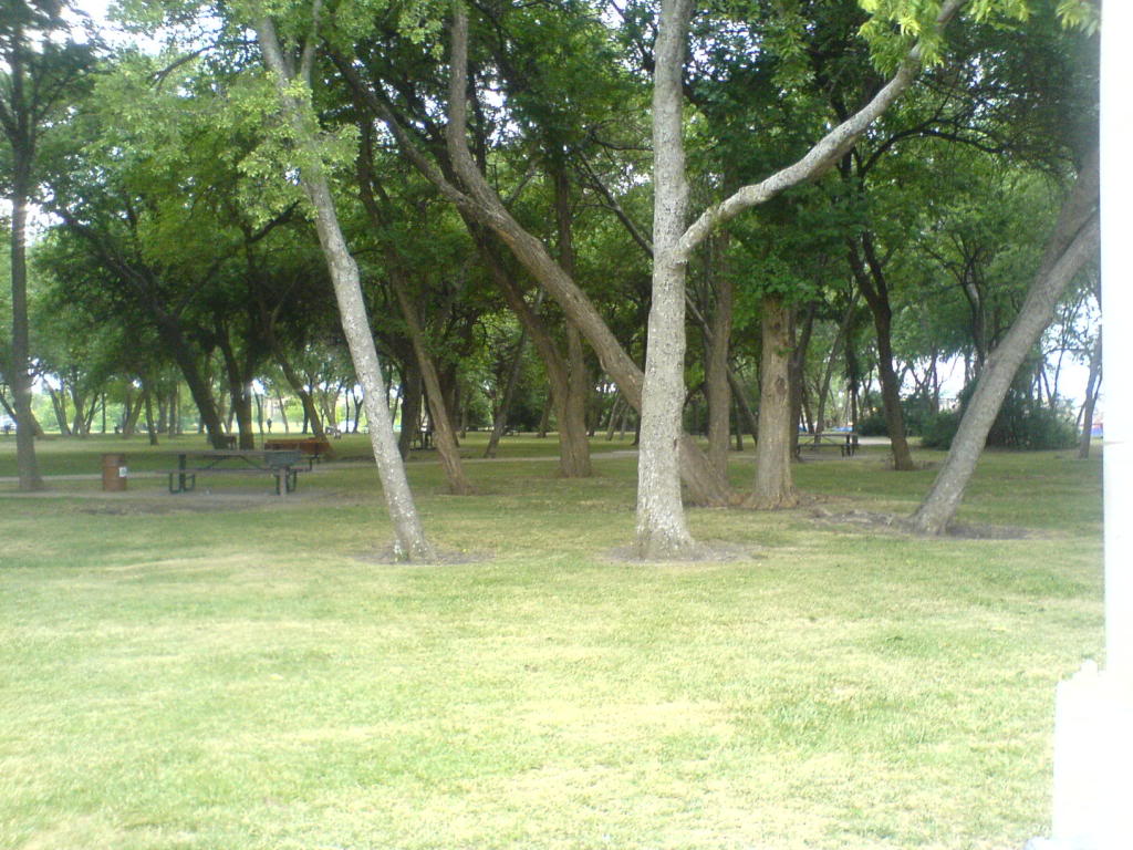 Name:  DSC01327.jpg
Views: 57
Size:  157.7 KB