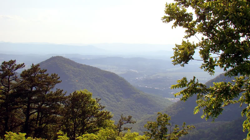 Name:  scenery2.jpg
Views: 32
Size:  98.9 KB