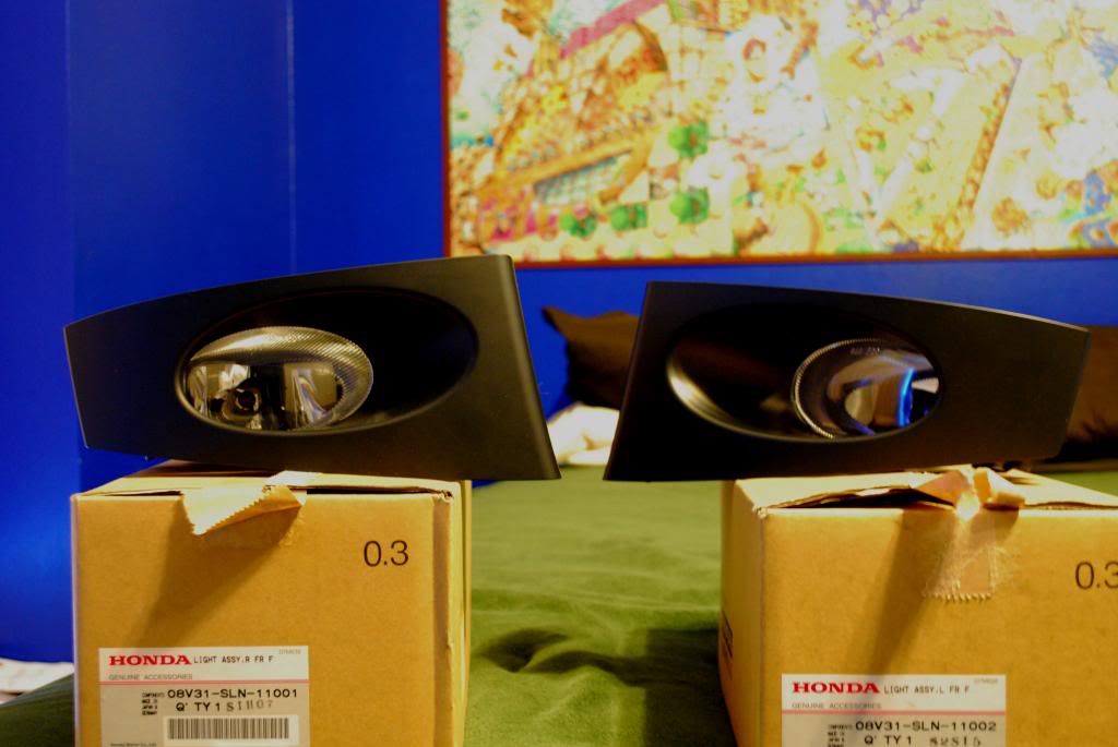 Name:  DSC_2829_zps053f93b5.jpg
Views: 1357
Size:  64.8 KB