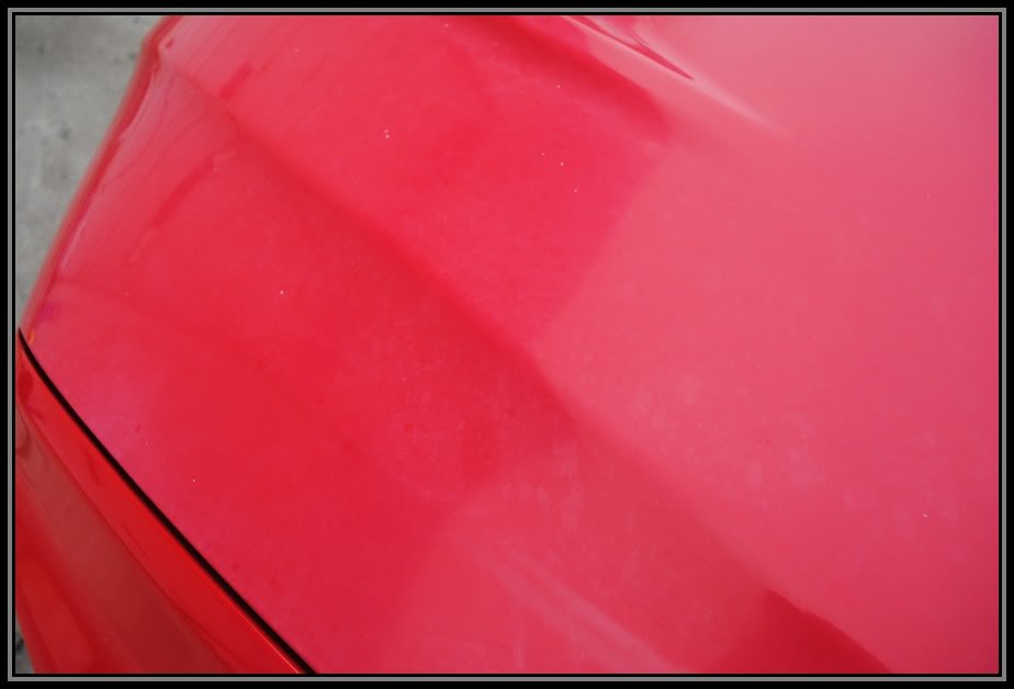 Name:  Evo8008.jpg
Views: 621
Size:  34.4 KB