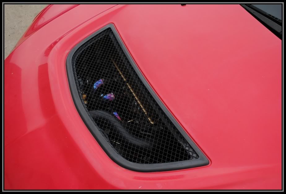 Name:  Evo8022.jpg
Views: 1030
Size:  67.7 KB