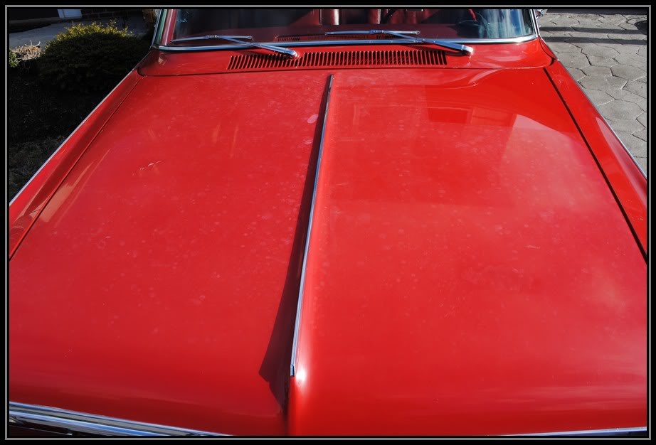Name:  NovaSS004.jpg
Views: 210
Size:  69.2 KB
