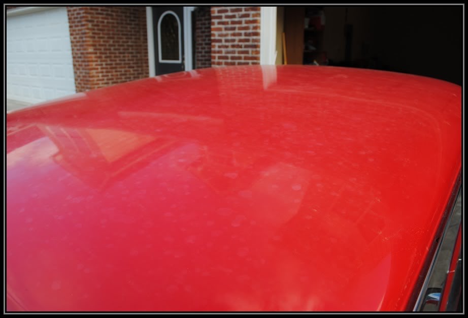 Name:  NovaSS017.jpg
Views: 150
Size:  47.4 KB