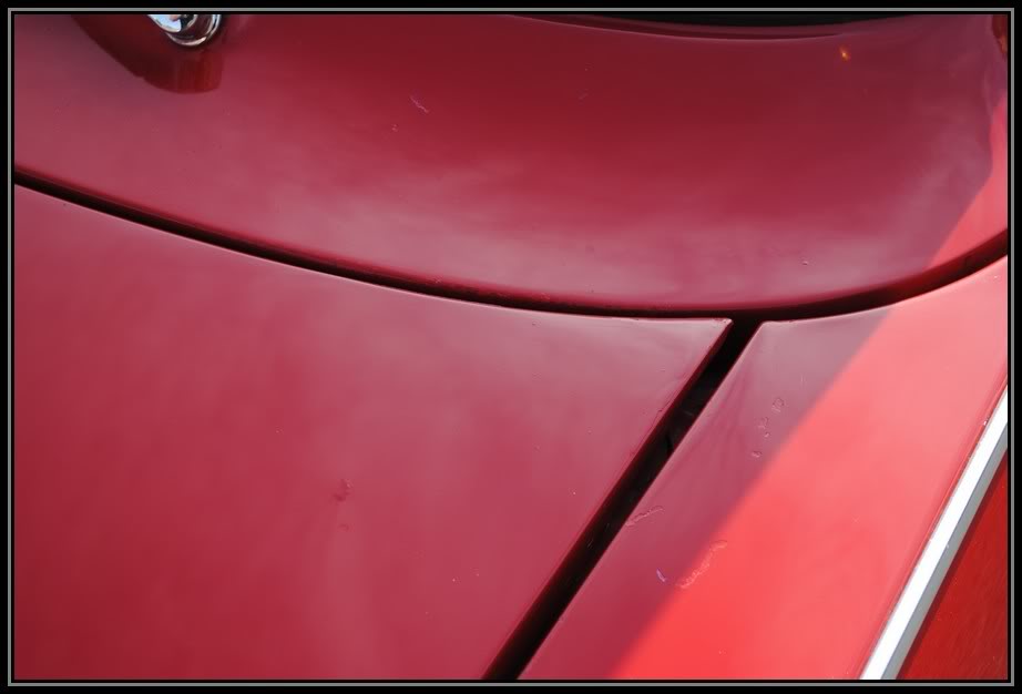 Name:  NovaSS232.jpg
Views: 251
Size:  37.9 KB