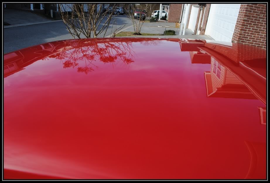 Name:  NovaSS204.jpg
Views: 79
Size:  71.1 KB