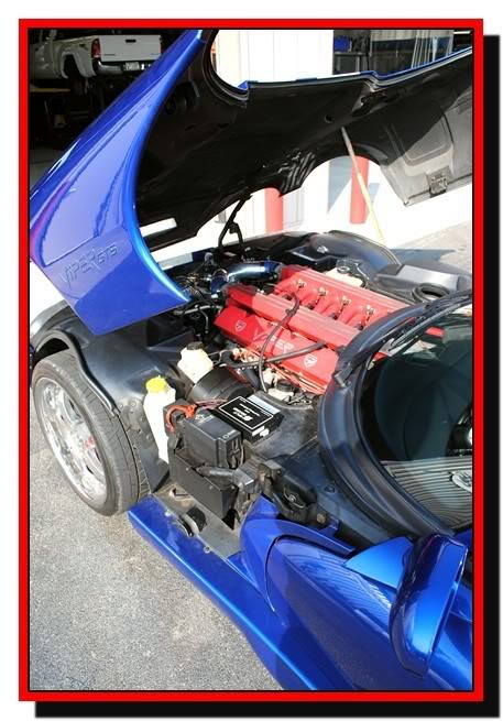 Name: viperpic060.jpg
Views: 2093
Size: 76.7 KB
