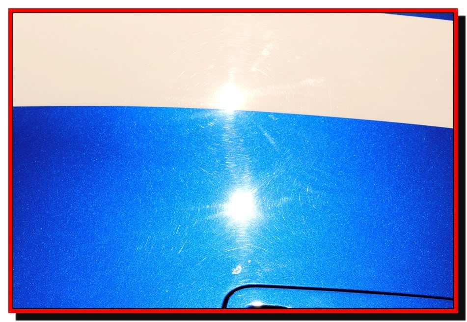 Name: viperpic086.jpg
Views: 2040
Size: 127.5 KB