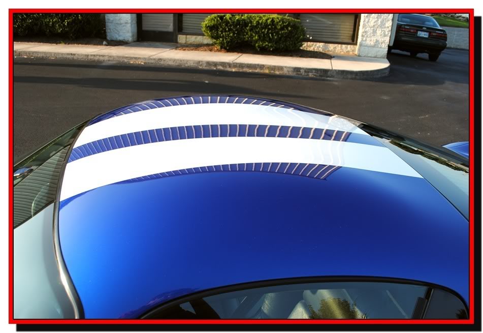 Name: viperpic147.jpg
Views: 1985
Size: 78.9 KB