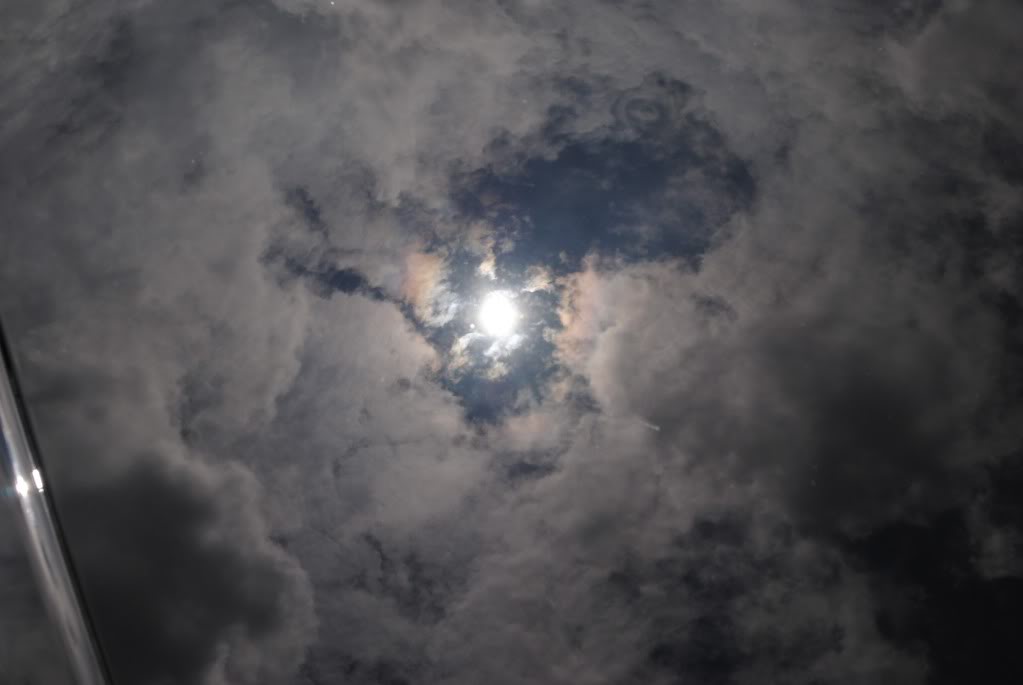 Name:  DSC_0322.jpg
Views: 317
Size:  36.2 KB