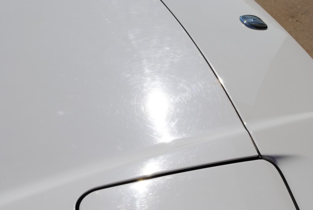 Name:  DSC_0520.jpg
Views: 205
Size:  36.4 KB