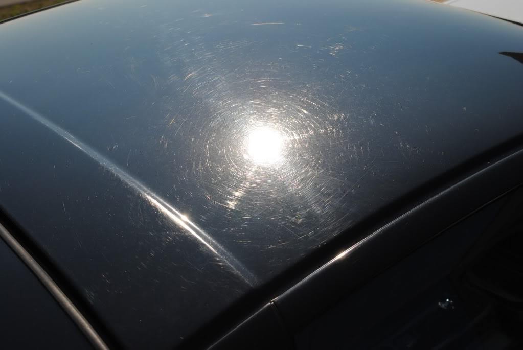 Name:  DSC_0524.jpg
Views: 200
Size:  65.1 KB