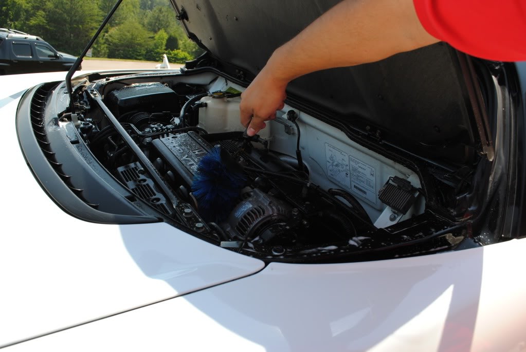 Name:  DSC_0550.jpg
Views: 189
Size:  90.7 KB