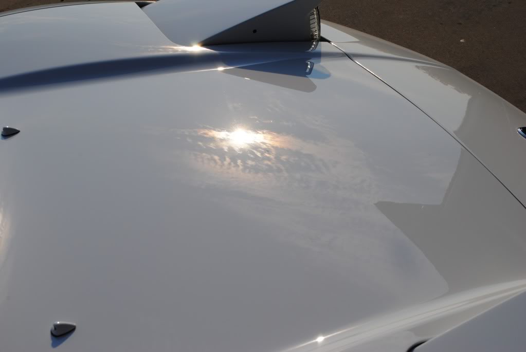 Name:  DSC_0678.jpg
Views: 199
Size:  33.0 KB