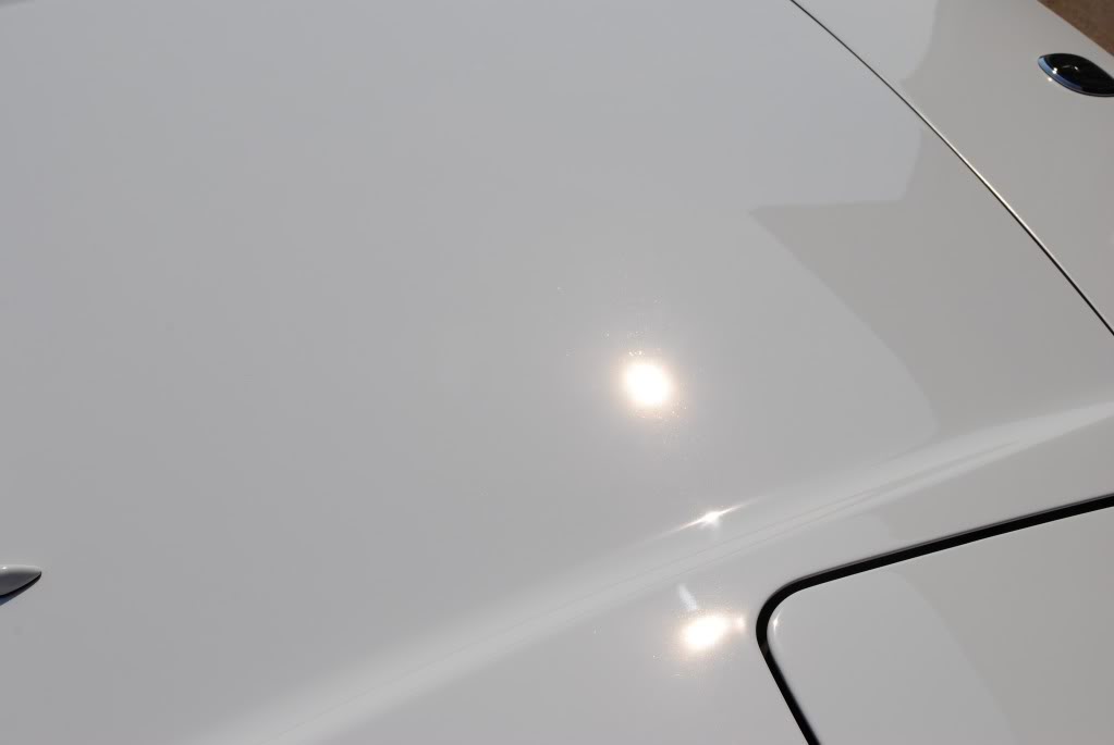 Name:  DSC_0708.jpg
Views: 193
Size:  18.3 KB