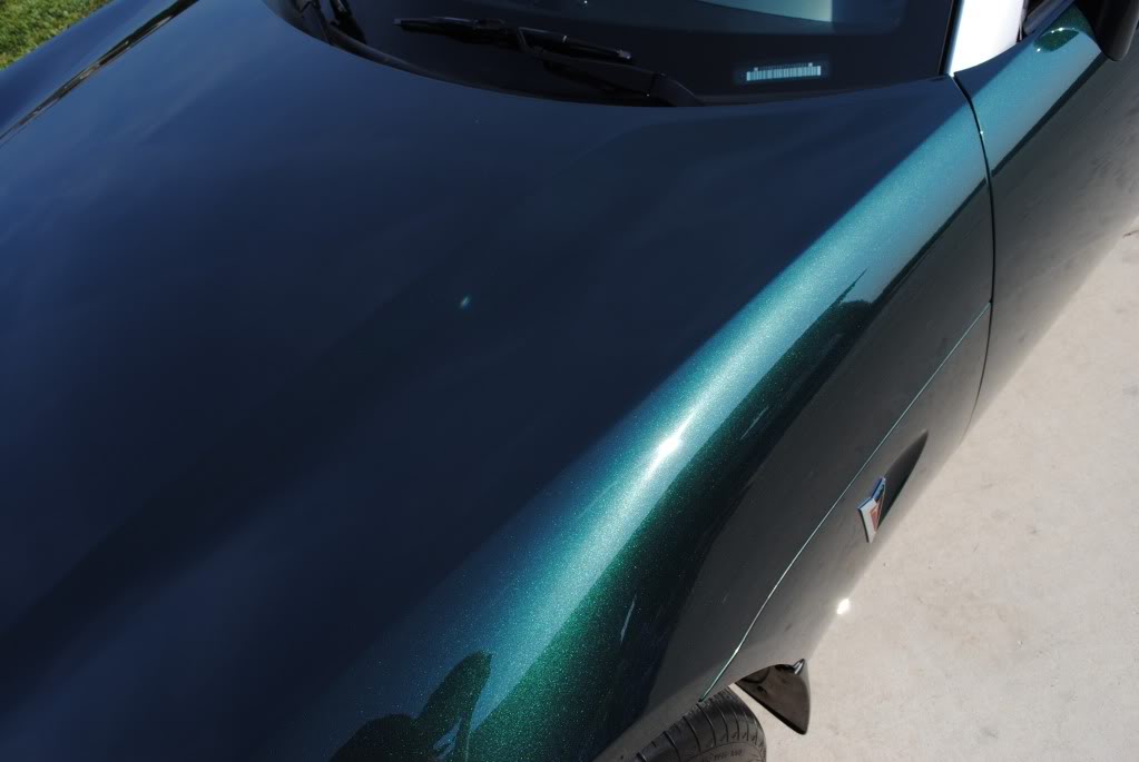 Name:  DSC_0737.jpg
Views: 181
Size:  50.8 KB