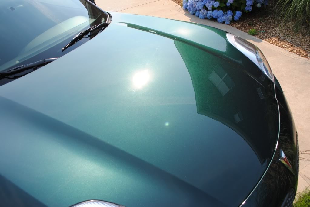 Name:  DSC_0738.jpg
Views: 194
Size:  69.1 KB