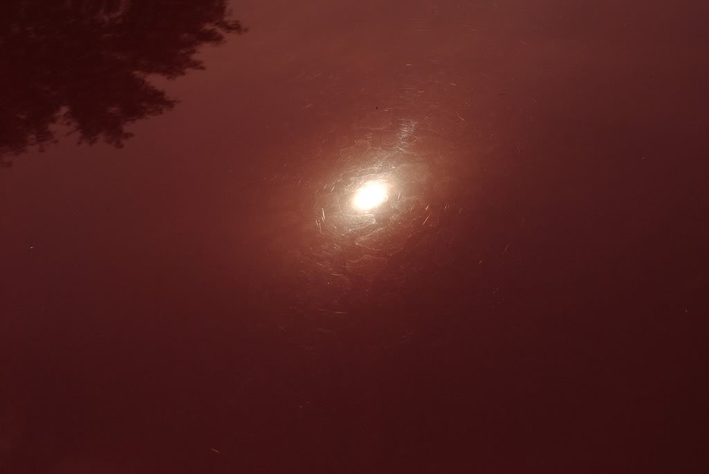 Name:  bea080f6.jpg
Views: 96
Size:  24.1 KB