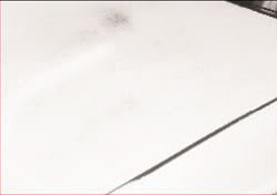 Name:  110a7403.jpg
Views: 71
Size:  3.5 KB