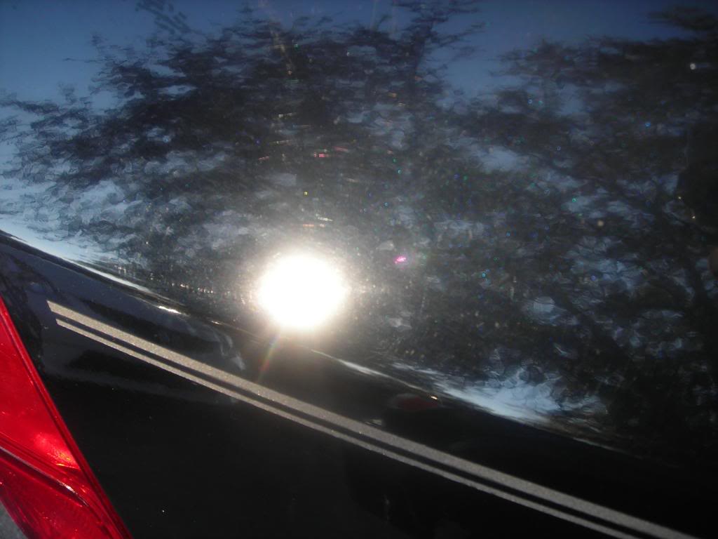 Name:  civic011.jpg
Views: 77
Size:  65.4 KB