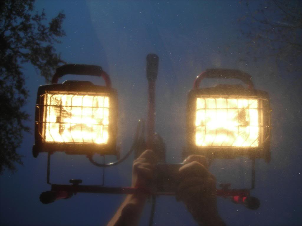 Name:  civic022.jpg
Views: 65
Size:  50.0 KB