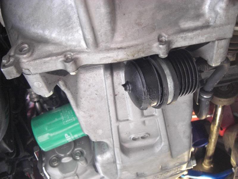 Name:  CIMG2586.jpg
Views: 796
Size:  88.5 KB