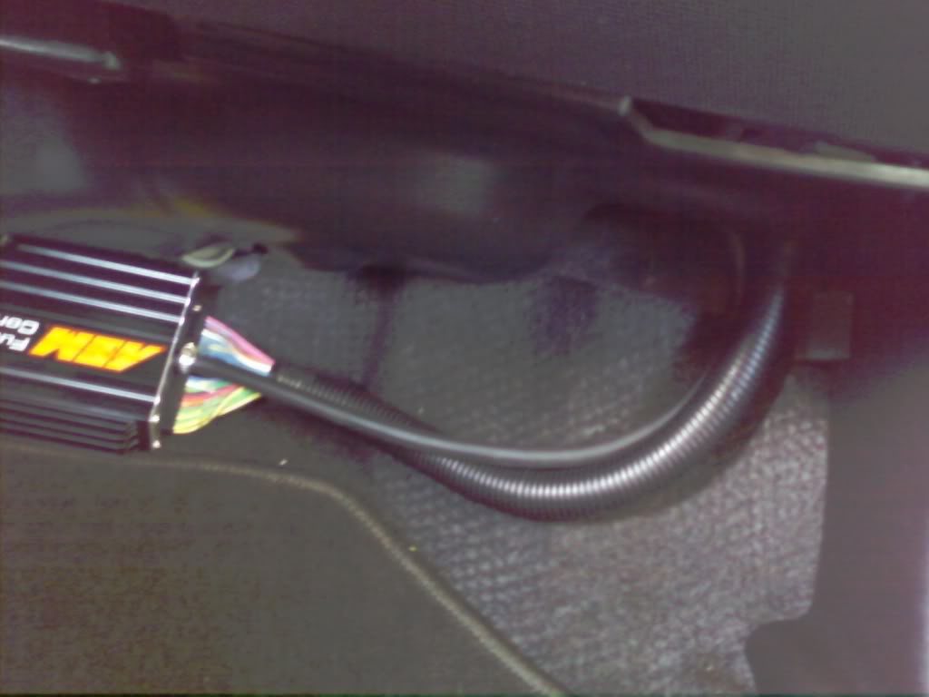 Name:  SSPX0183.jpg
Views: 233
Size:  47.6 KB