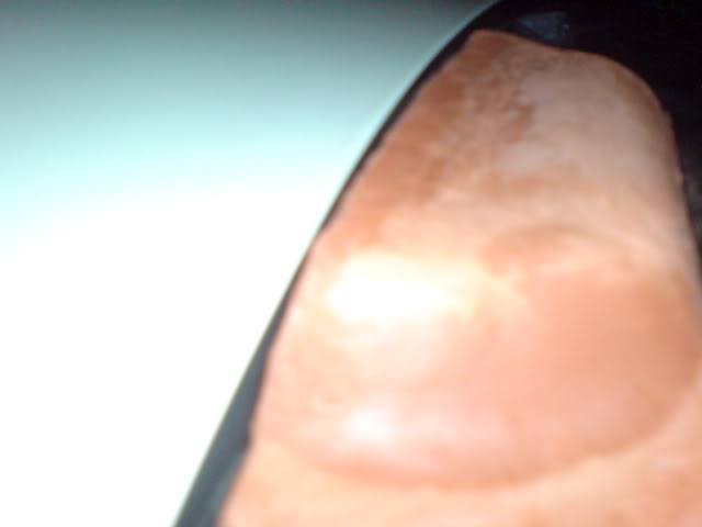 Name:  DSC00153.jpg
Views: 103
Size:  16.3 KB