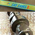 Cat cams-fb_img_1472846466576.jpg