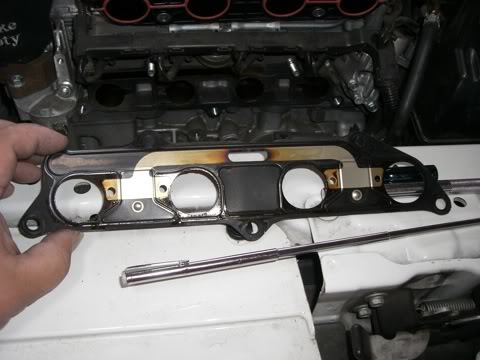 Name:  CIMG4050.jpg
Views: 104
Size:  35.4 KB