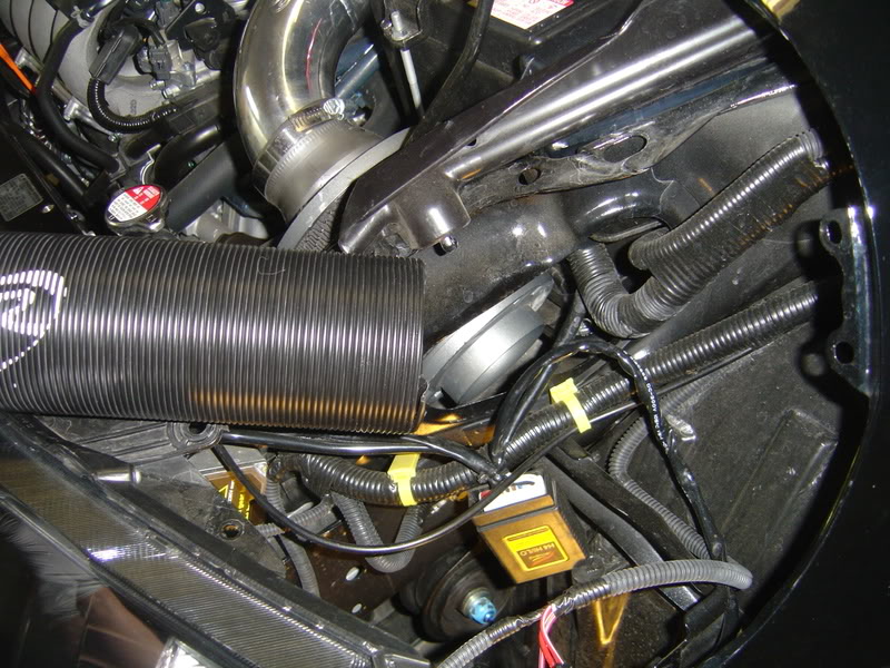 Name:  DSC03183.jpg
Views: 72
Size:  129.1 KB